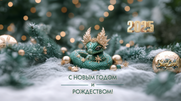Поздравление с Новым годом Поздравление с Новым годом.
